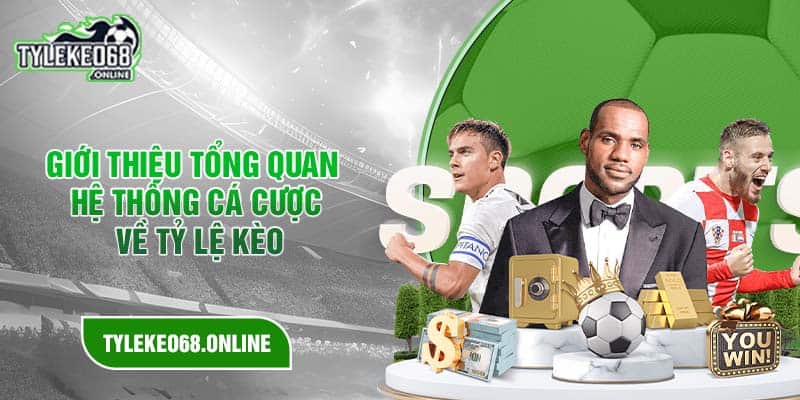 Giới thiệu tổng quan hệ thống cá cược về Tỷ Lệ Kèo