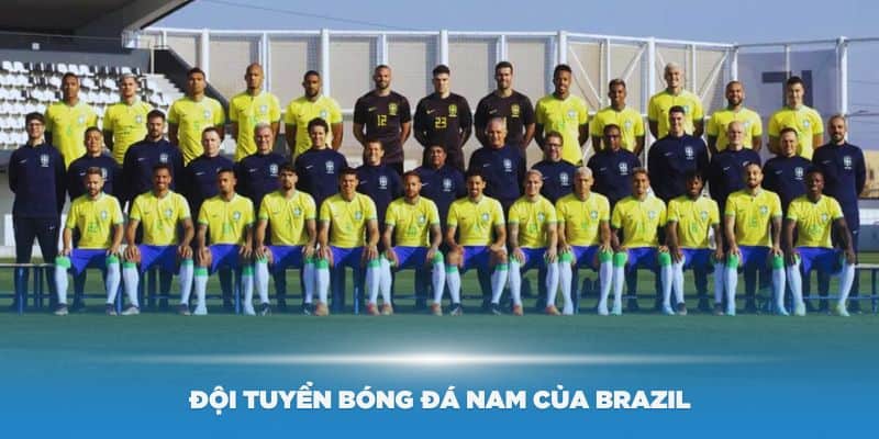 Giới thiệu về đội tuyển bóng đá nam của Brazil